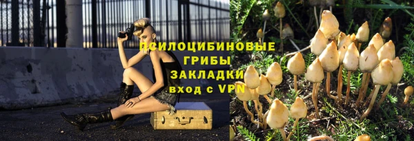 эйфоретик Аркадак