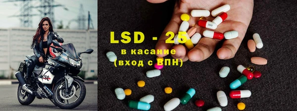 эйфоретик Аркадак