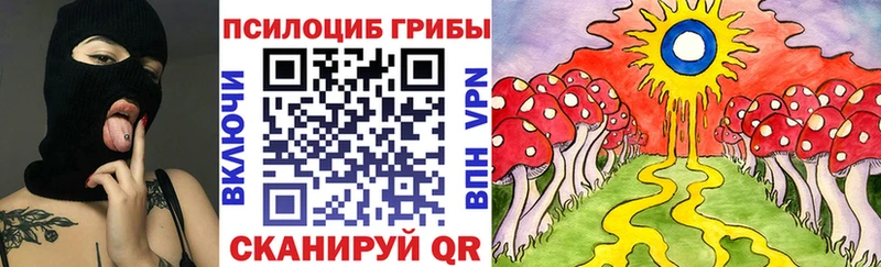 blacksprut ссылка  Сольвычегодск  Псилоцибиновые грибы Magic Shrooms 